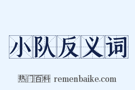 小队反义词是什么意思的图片